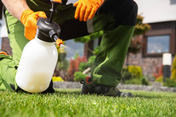 Best Commercial Pest Control Services  in Comer, GA