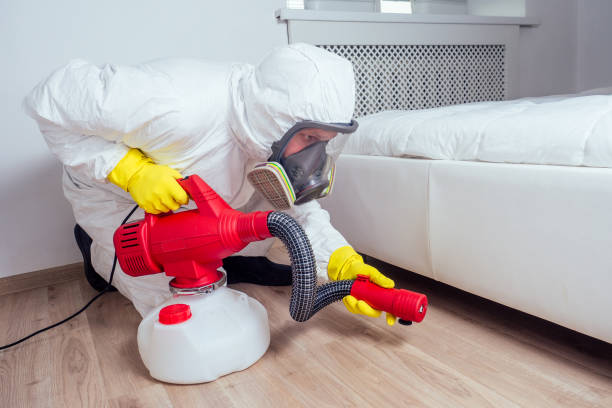 Best Wasp Removal Services  in Comer, GA