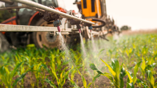 Best Pest Control Treatment  in Comer, GA